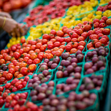 farmers-market