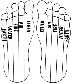 feet