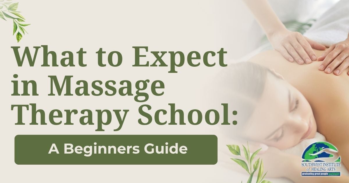 What to Expect in Massage Therapy School SWIHA: A Beginner’s Guide