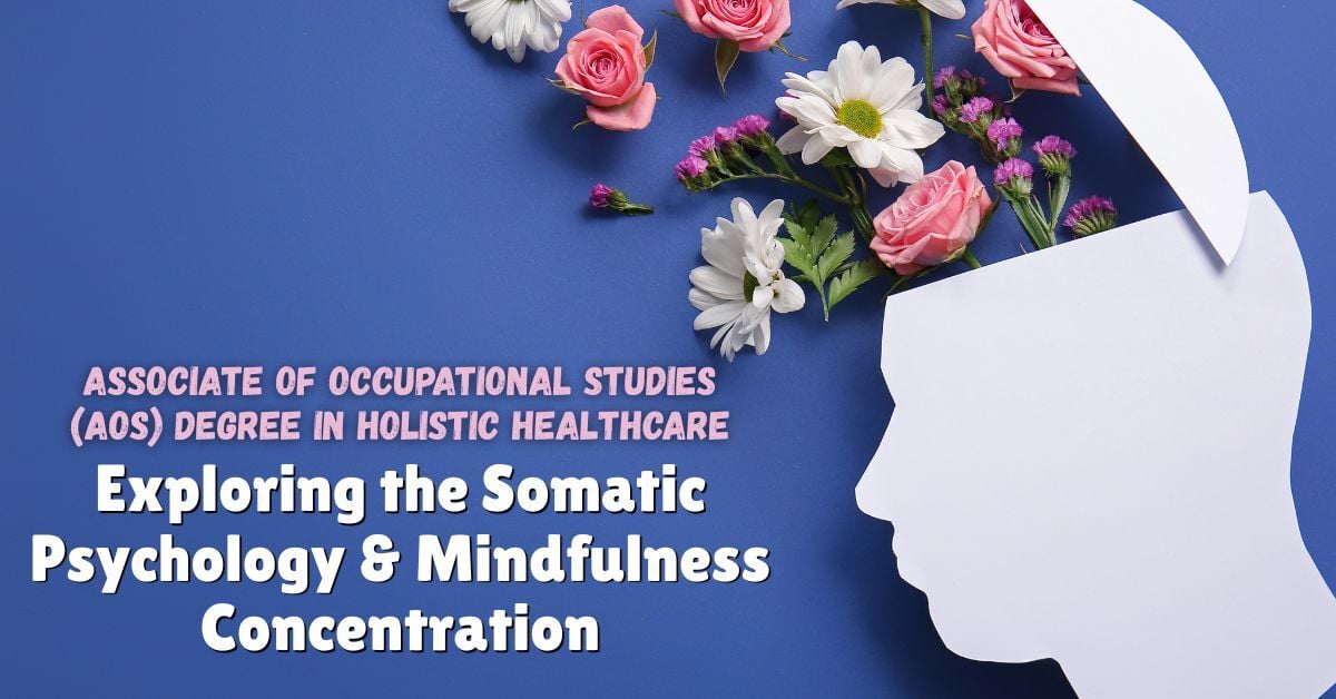 Explore the Somatic Psychology & Mindfulness Concentration in SWIHA AOS program