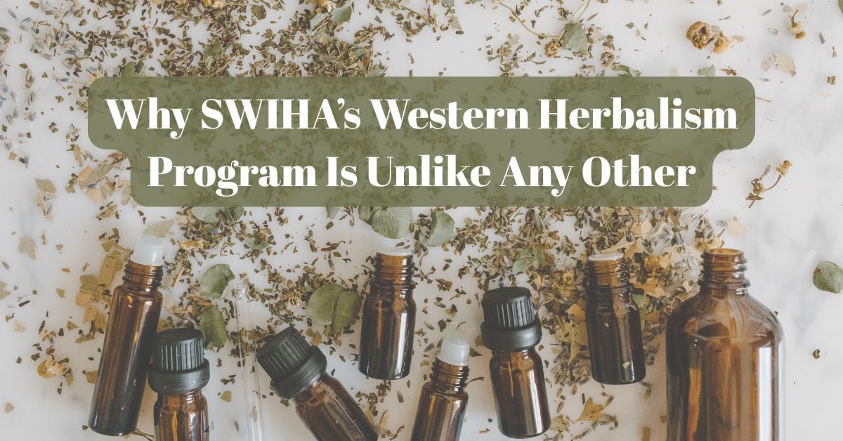 Why SWIHA’s Western Herbalism Program Is Unlike Any Other