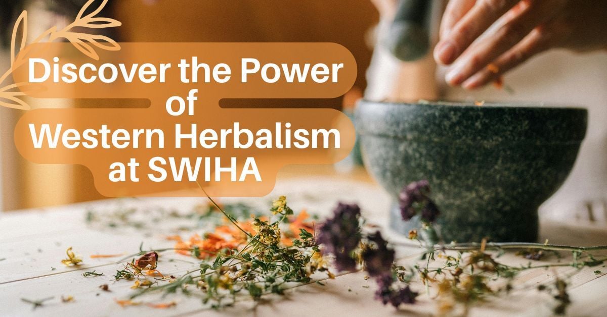 western herbalism program at swiha