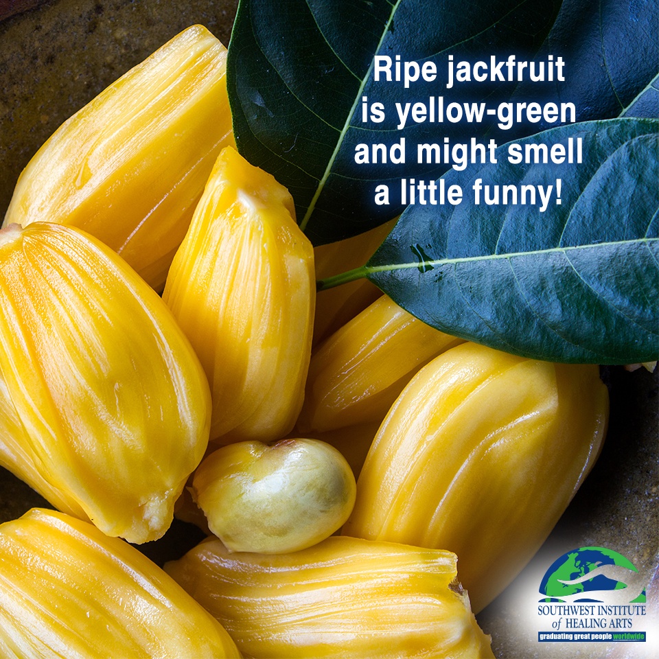 Jackfruit-2