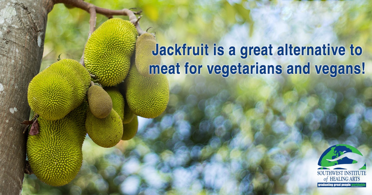 Jackfruit-feat