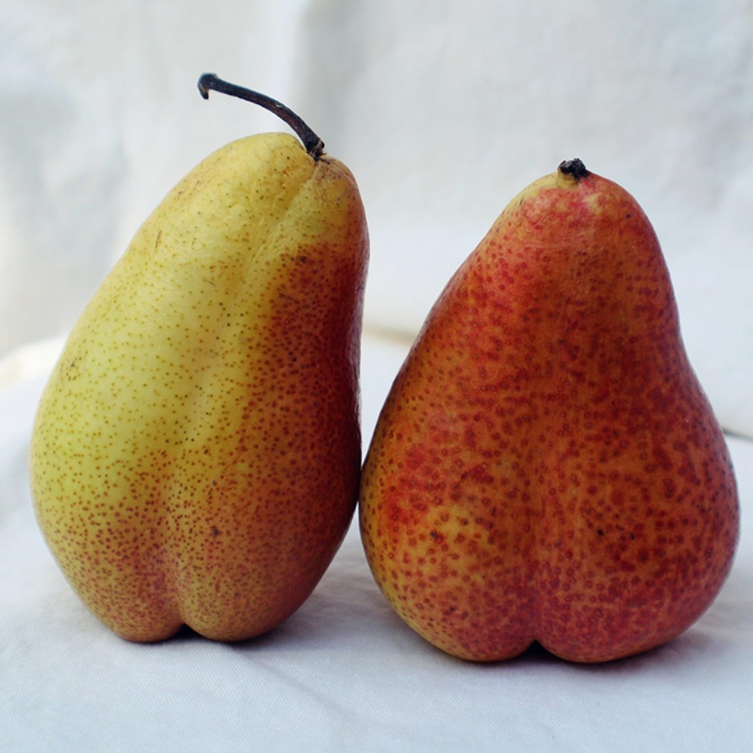 pears