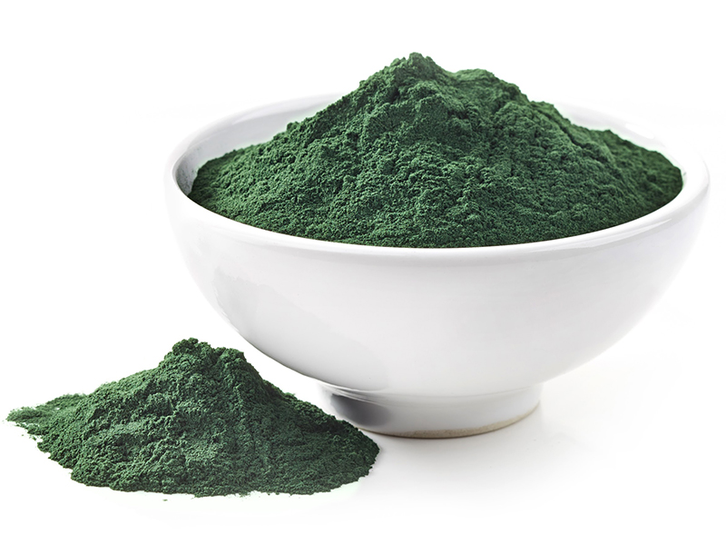 Chlorella