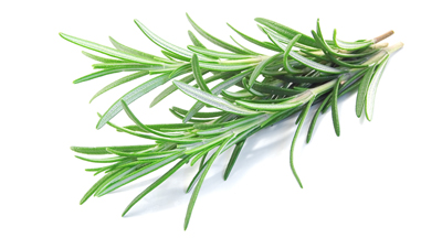 Rosemary